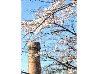 四季折々の自然を感じられる教室です。