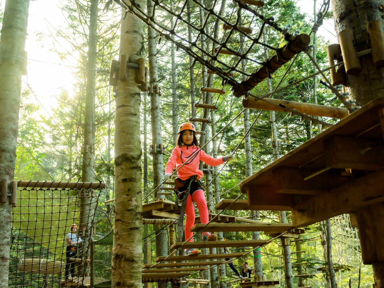 道内最大規模のツリートレッキング