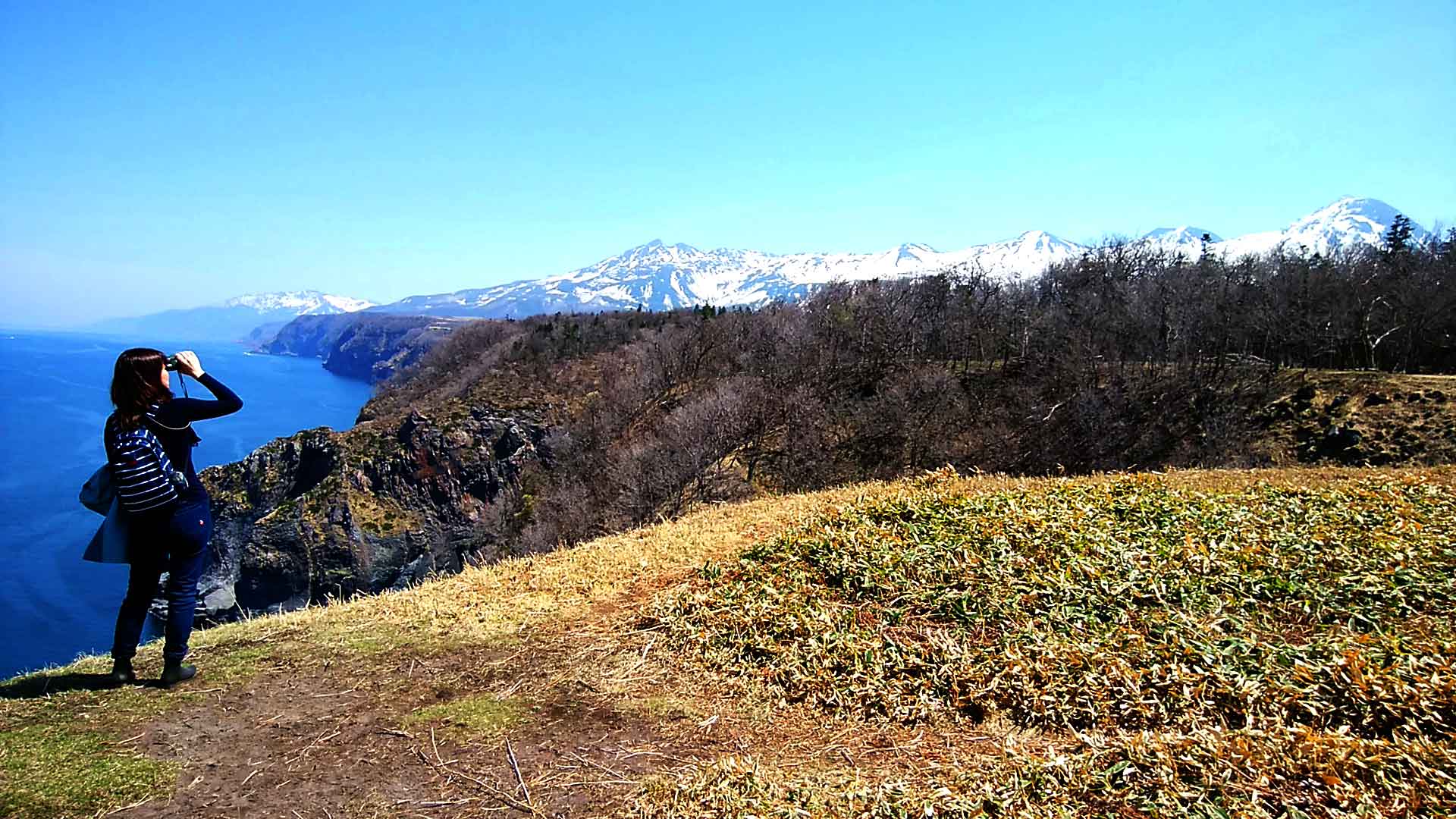 ☆ 原生林と断崖トレッキング ☆ 世界自然遺産の森と地下水の滝☆知床岬眺望コース