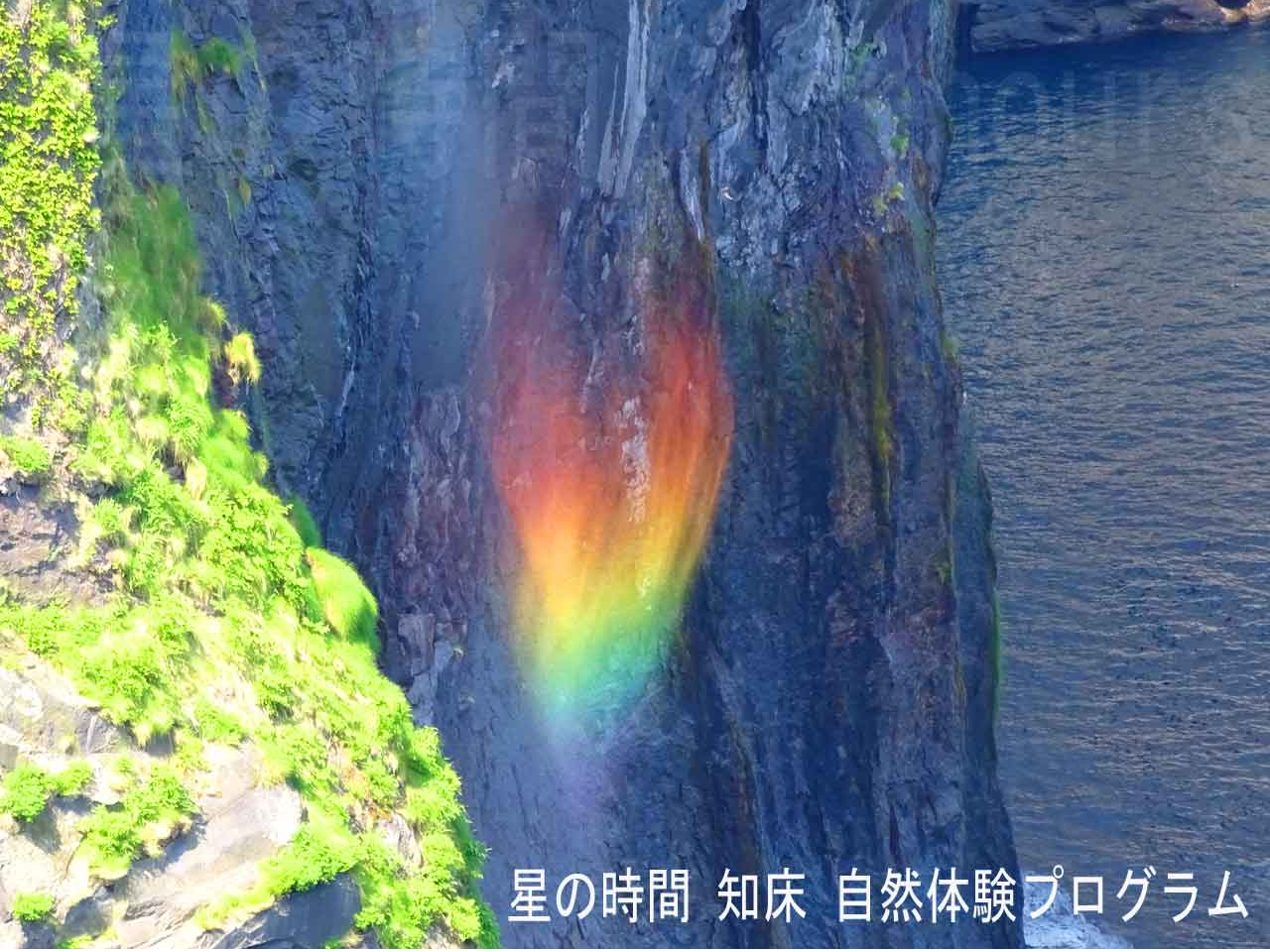 EIɂAꂪFɋPuɌ̑vuI[tH[vƂĂ΂錻ۂ邱Ƃ܂B