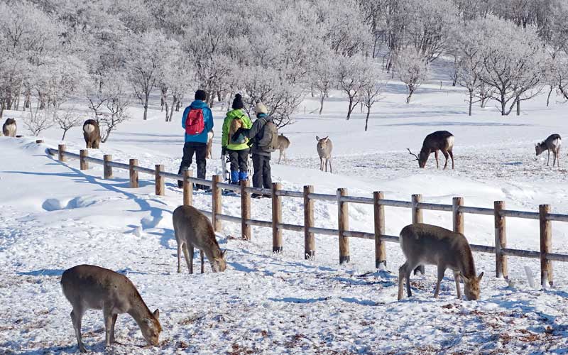 ☆ スノートレッキング ☆ 2km 2時間 コース