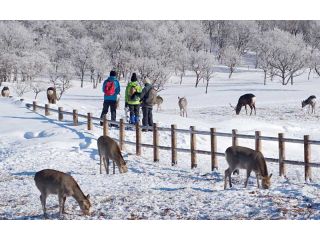 真っ白な雪の中で様々な生き物が活動しています。