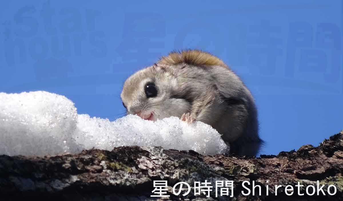 �������K��T���Ȃ�3����������