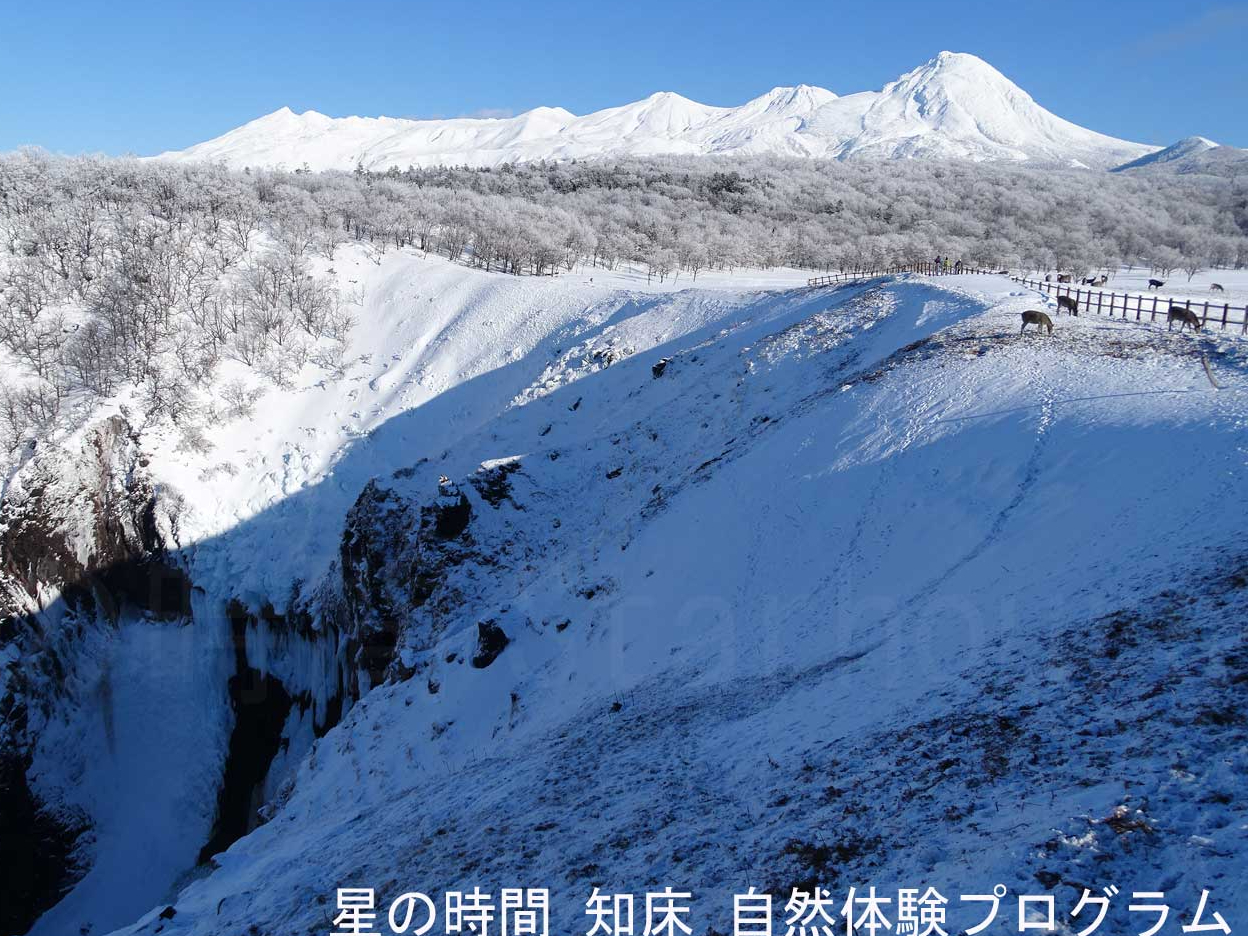 �^�~�̒m���A�R�ƃt���؂̑�B