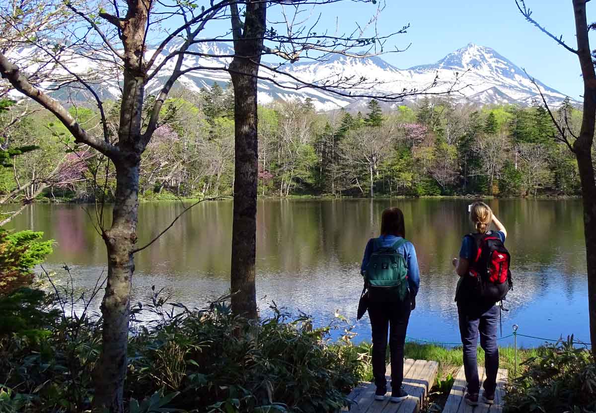 ☆世界自然遺産コアゾーン☆知床五湖 全周 散策☆3時間コース☆彡
