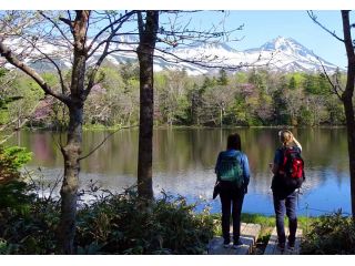 エゾヤマザクラが咲いた初夏の湖、知床連山には雪が残っています。