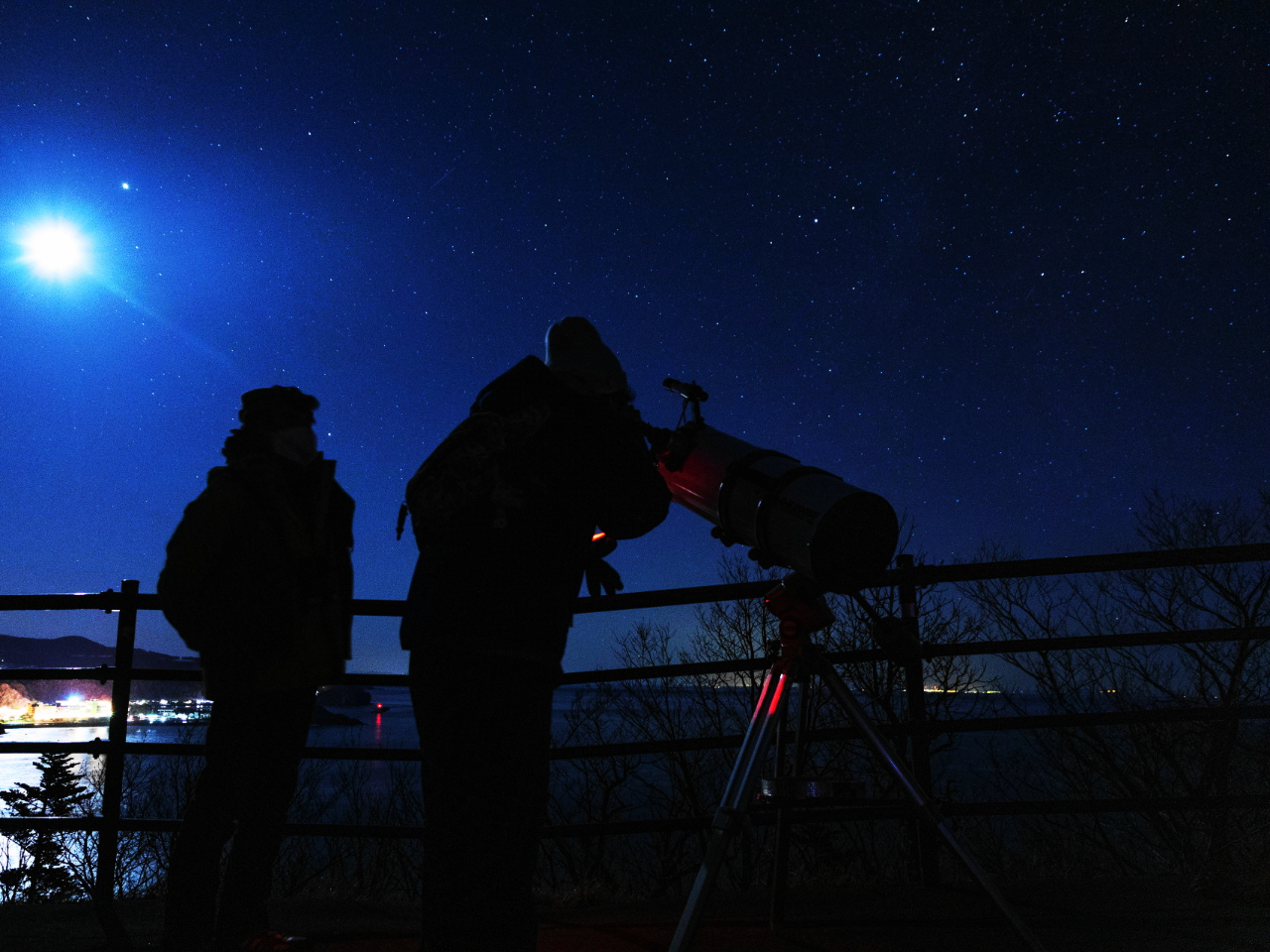 a200oœ_800̃j[g˖]g܂B