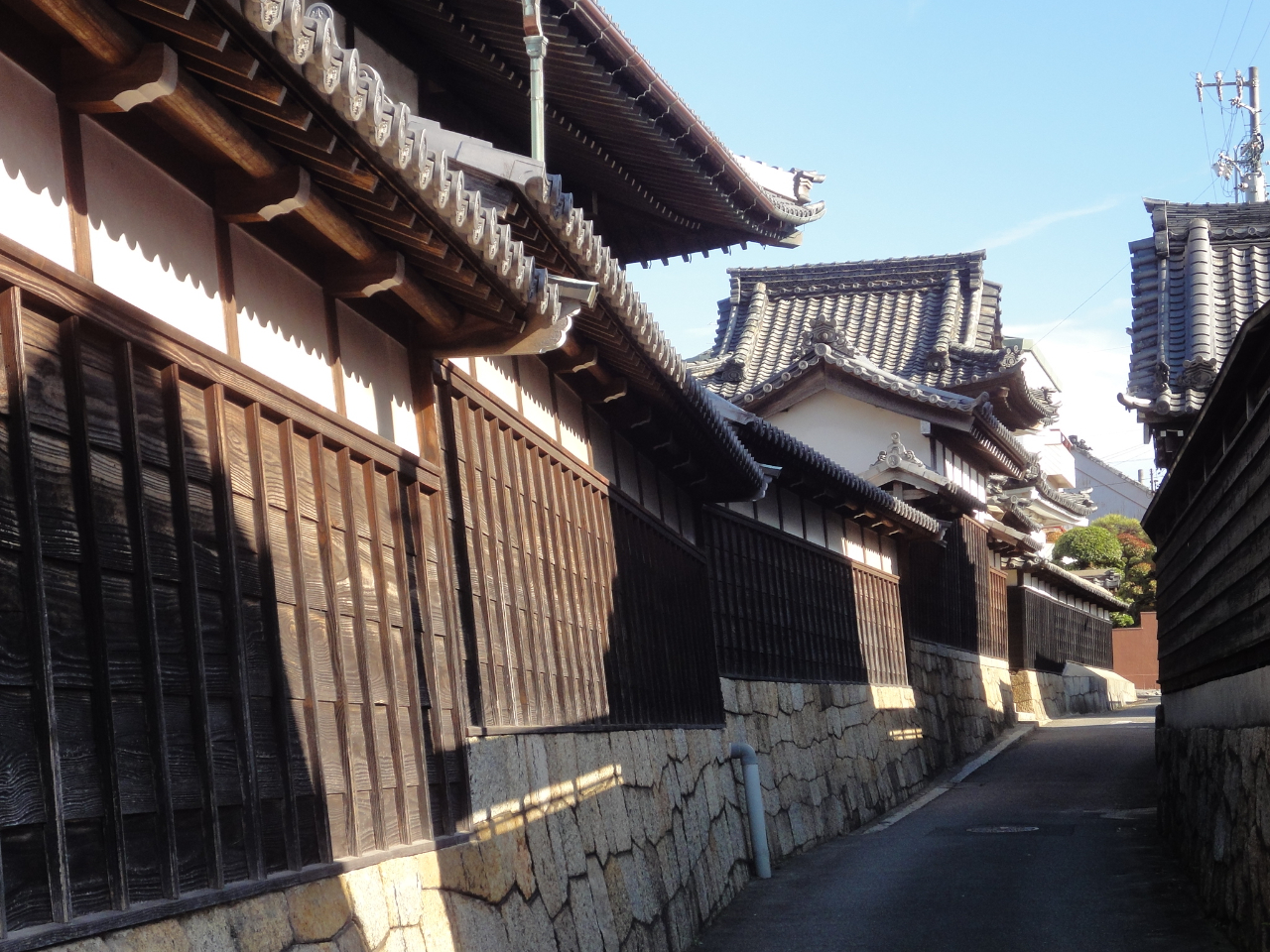 ̏鉺̘Hnc鏇CʂɂuovBO͏s̕y݂Ƀ`WB