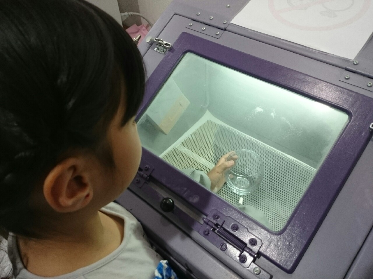 p@BŐH̕\ʂ𒤂AfUCdグ܂Iřł