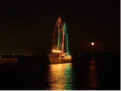 ライトアップしたオーシャンプリンセス号