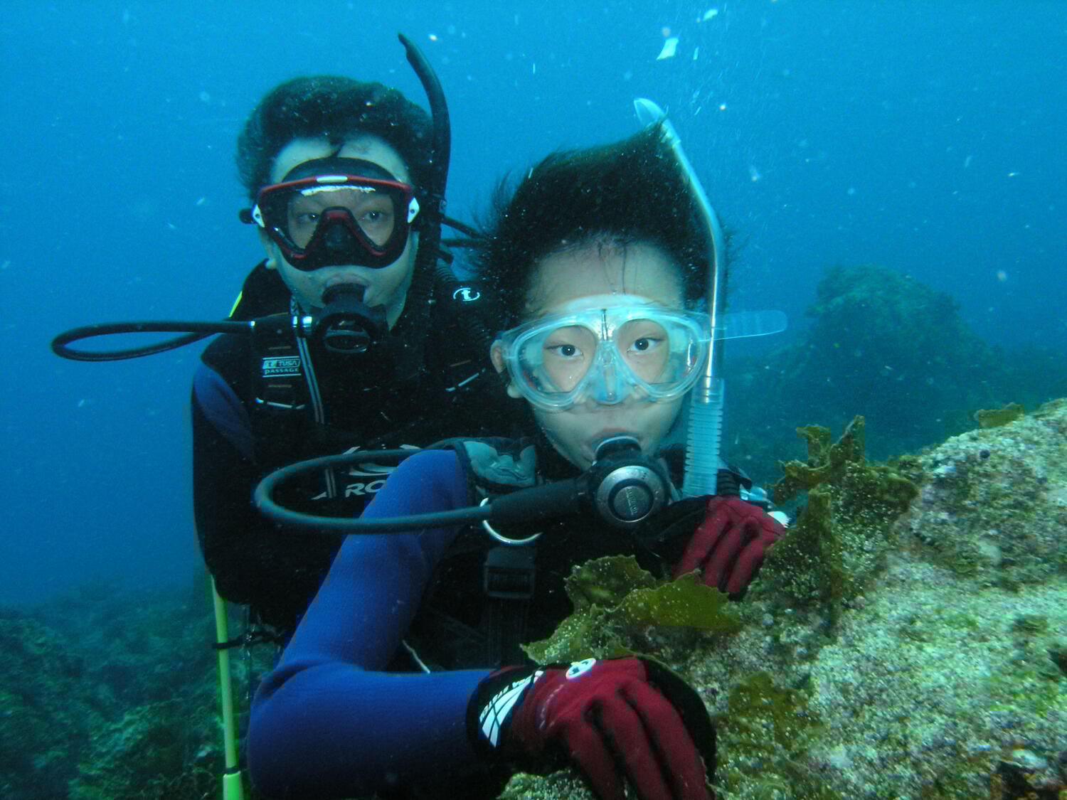 t@~[ő̌_CrOɃ`WႢ܂傤I