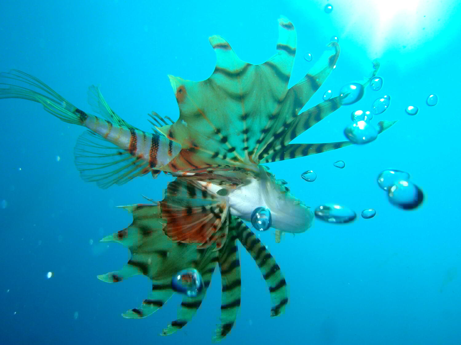 `ȗDɉjƂ̏o҂Ă܂I