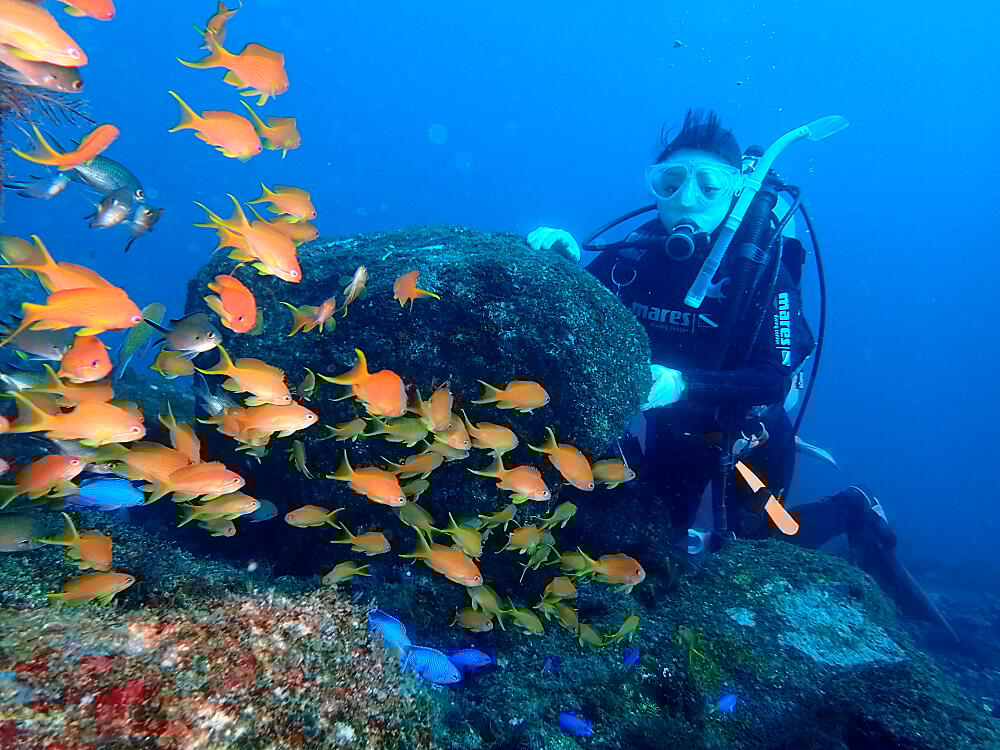 ƈꏏɋYȂ琅U𖞋iI