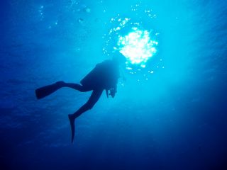 初島 2ビーチファンダイビング アイランドリゾート初島で楽しくダイビング アトリエラウト じゃらん遊び体験