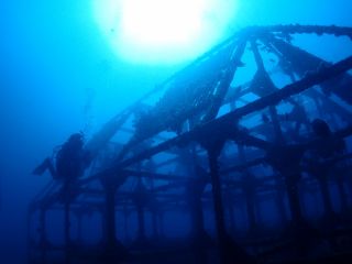 初島 2ビーチファンダイビング アイランドリゾート初島で楽しくダイビング アトリエラウト じゃらん遊び体験