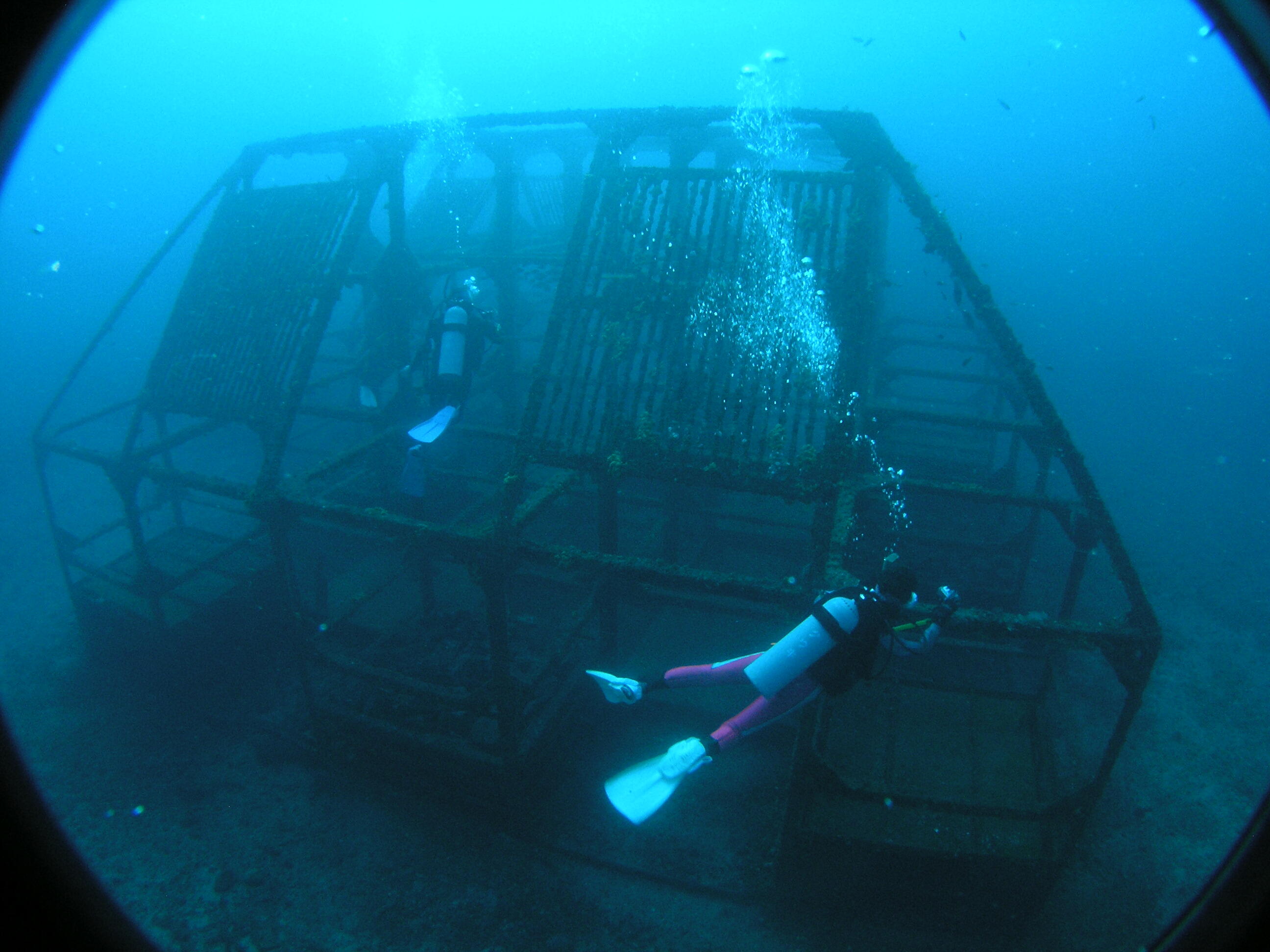 ȋʂ̒ɂ̂ŁAAhx`[C𖞋ił܂I