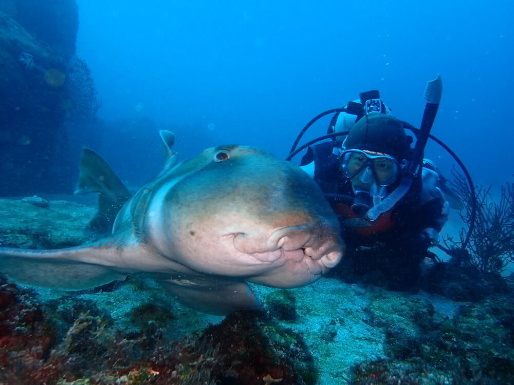 啨Ƃ̑ł͂Ȃ̊C͊yځI