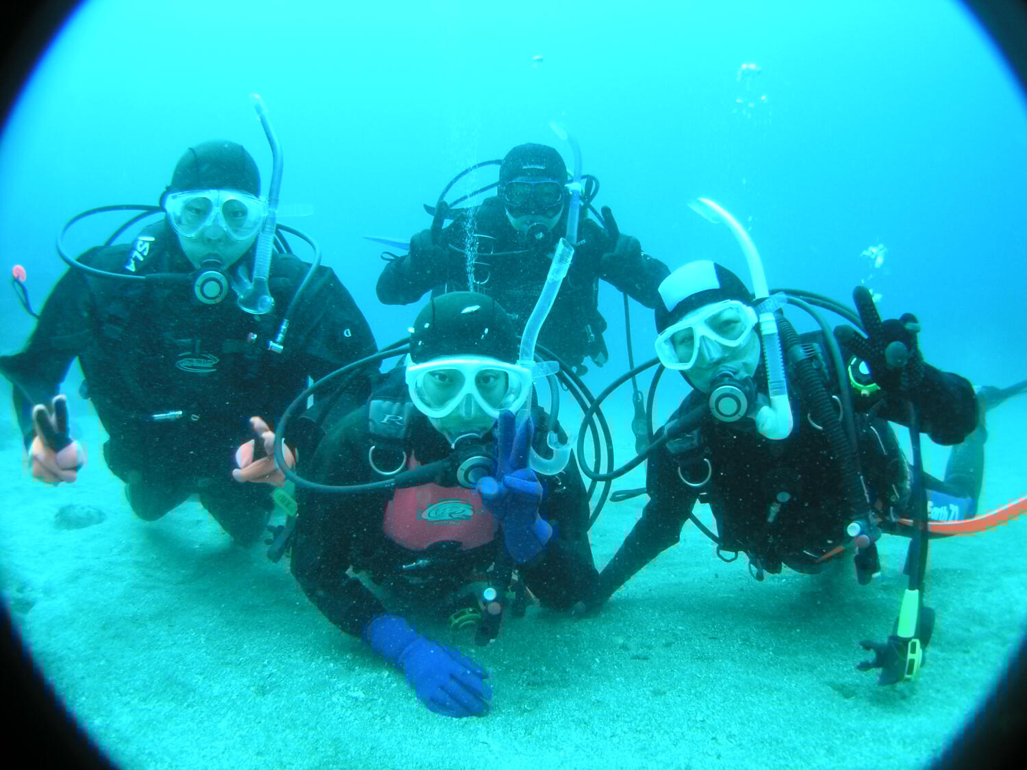 11`3܂ł̊Ԍ|Cgu]䓴Av̍n͖|CgłI