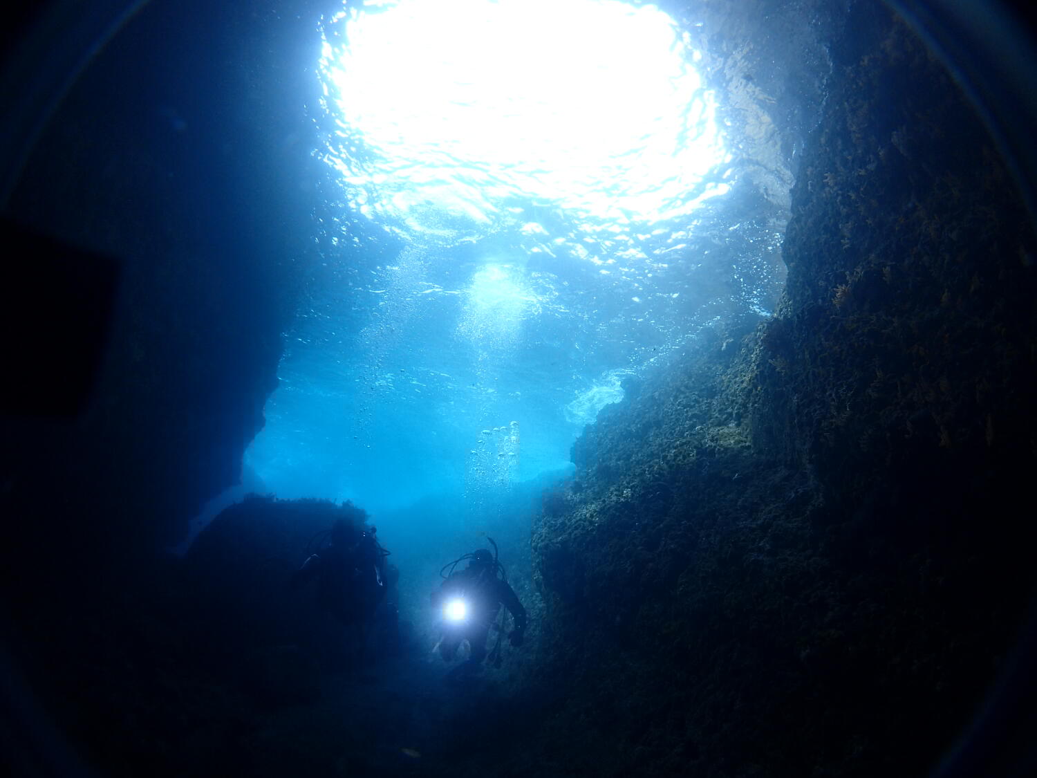 11`3܂ł̊Ԍ|Cgu]䓴Av́ÃIuWFƒn`\I