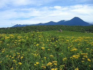 森を抜けると、草原が広がります