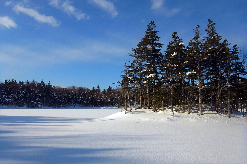 Ă͉璭߂邵ȂAȊԋ߂Ō܂B