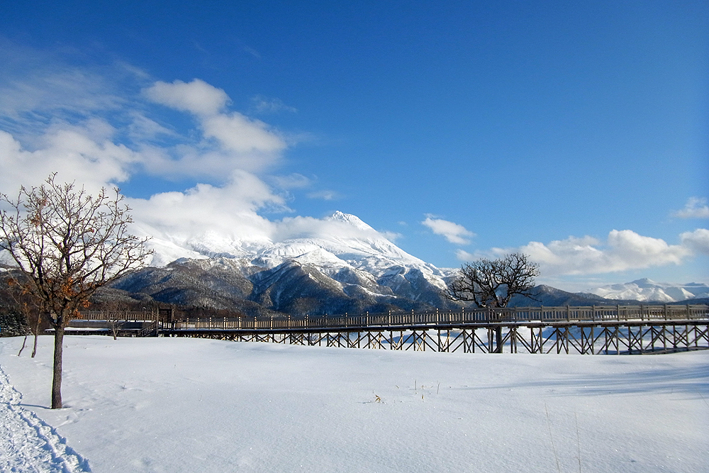 i͍~ȂA˖ؓ̉ɂčs܂B