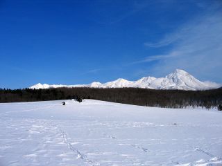 広い雪原をスノーシューで歩きます