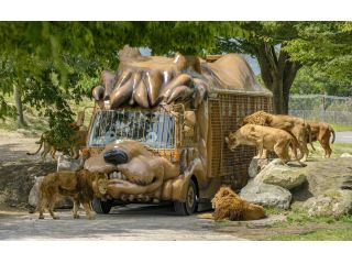 定番大人気 大分 アフリカンサファリ 入園料 ジャングルバスツアー 九州自然動物公園アフリカンサファリ じゃらん遊び体験