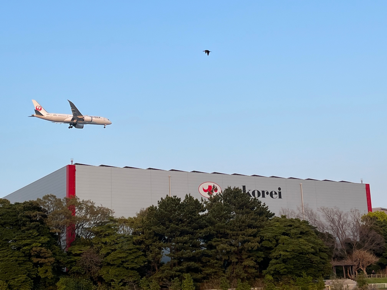 ��c���X��^�͏o���͔�s�@�����y���݂��������܂��B