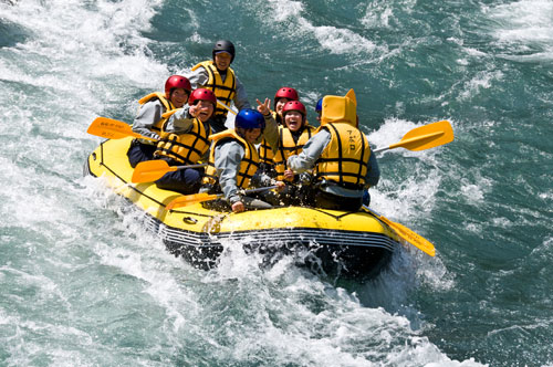 ���ܐ색�t�e�B���O�A�|���̎ʐ^2