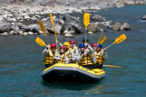 ���ܐ색�t�e�B���O�A�|���̎ʐ^3