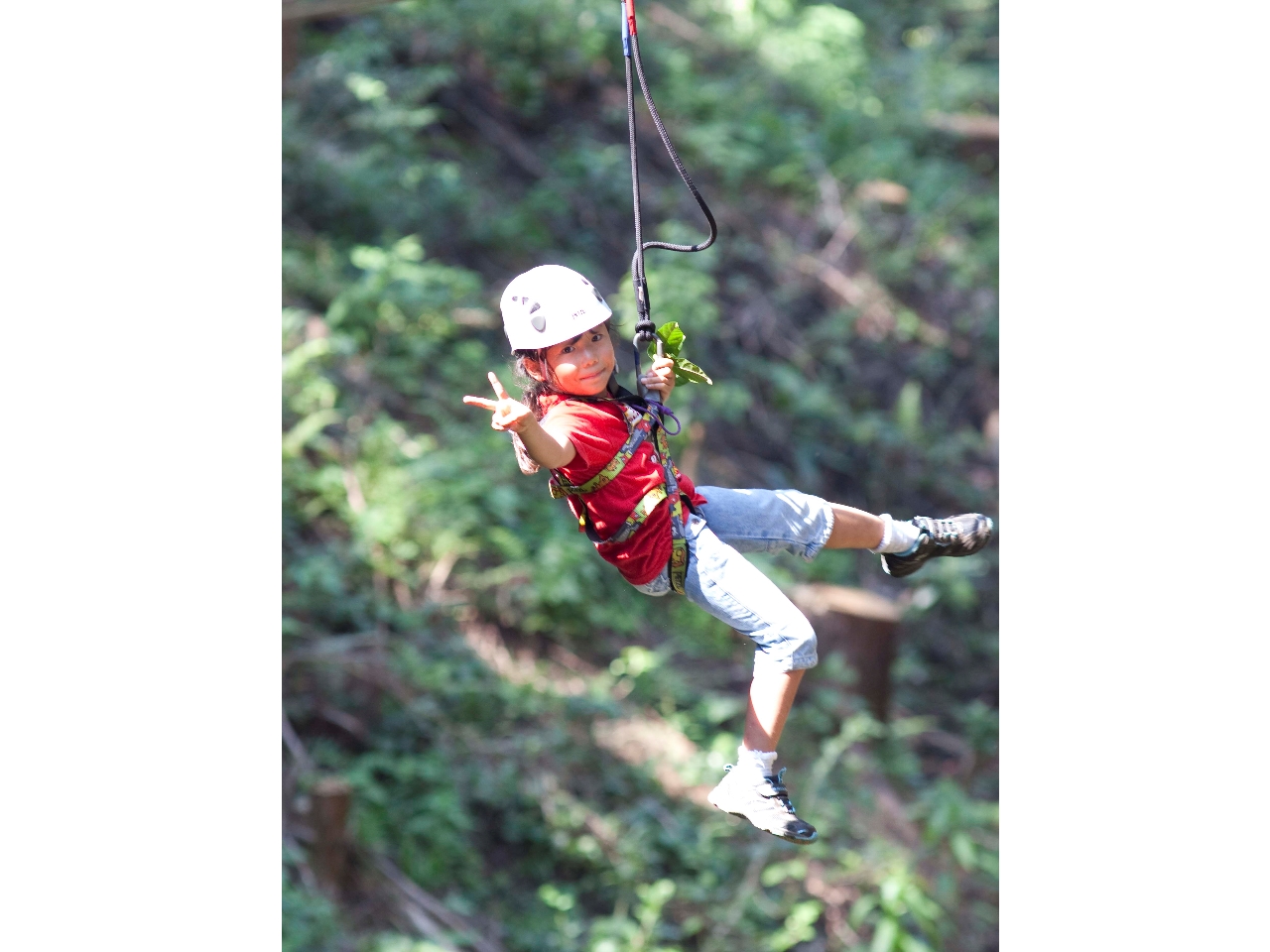 2020年4月24日キャノピーコースがOPEN