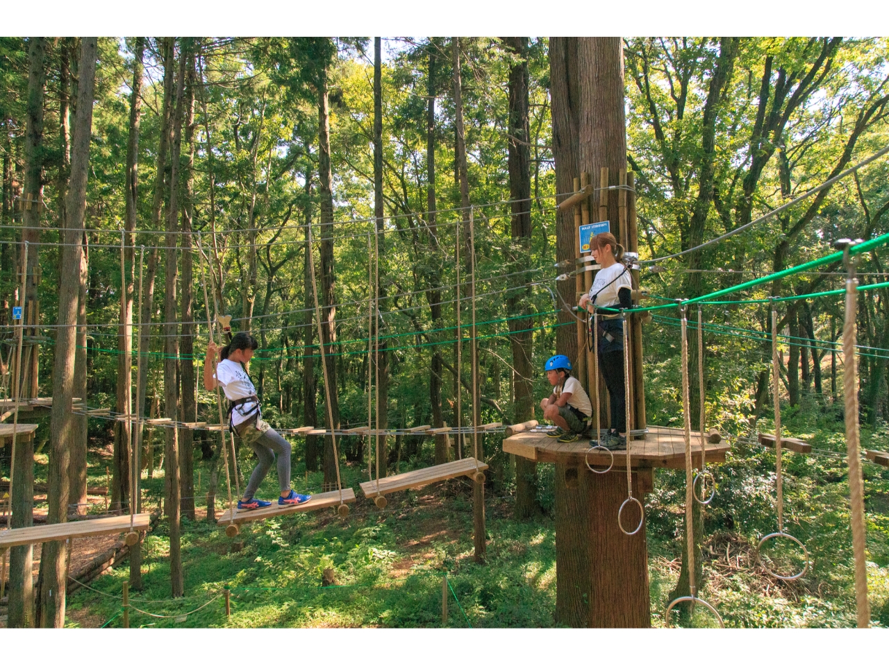 全てのアクティビティーが渡れるかな?