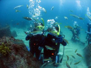水中に慣れたら魚に餌付けしてみよう!