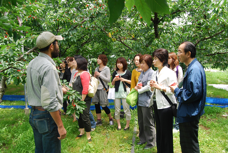 完熟フルーツこだわり探訪 フルーツマスター園でのさくらんぼ狩り 行列のイタリアン オーチャード のランチ マーマーレードアワード金賞受賞のジャム工房でのジャム作り体験 ファームフィールドトリップ じゃらん遊び体験