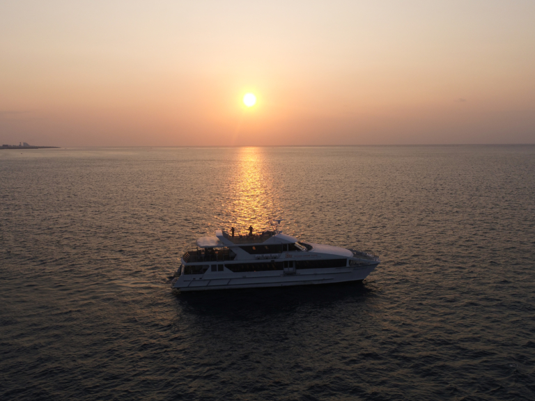 Ί_`oqĐΊ_ӂ̊CŃN[WO