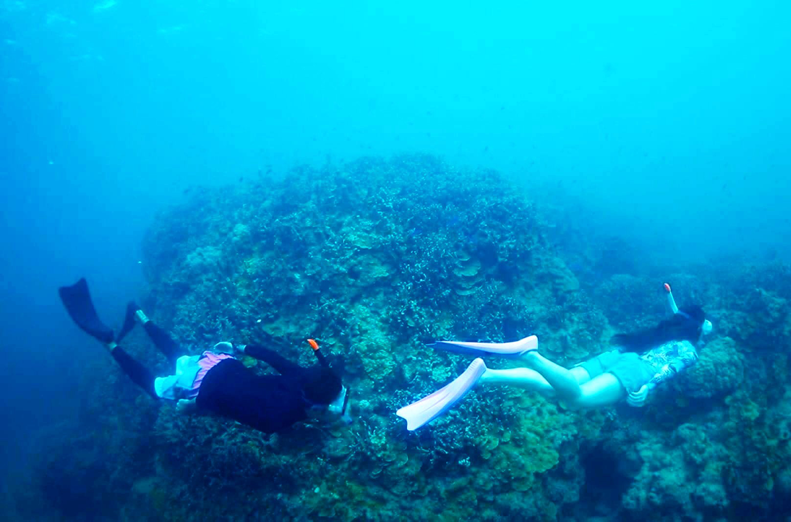 JbvŁAFBƁAƑőfGȎvo