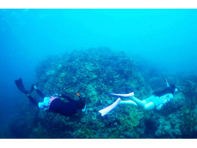 カップルで、友達と、家族で素敵な思い出作り♪