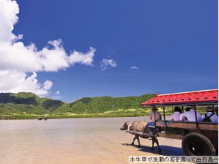 水牛車で浅瀬の海を渡って由布島へ