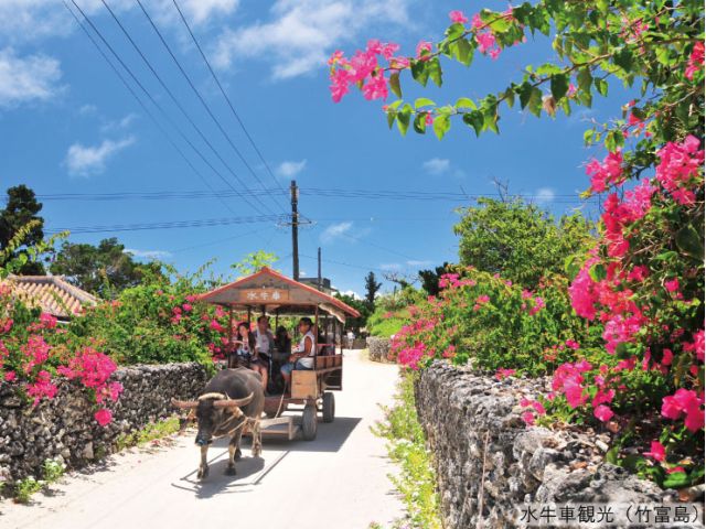 じゃらん 石垣島ドリーム観光