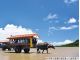 水牛車で浅瀬の海を渡って由布島へ