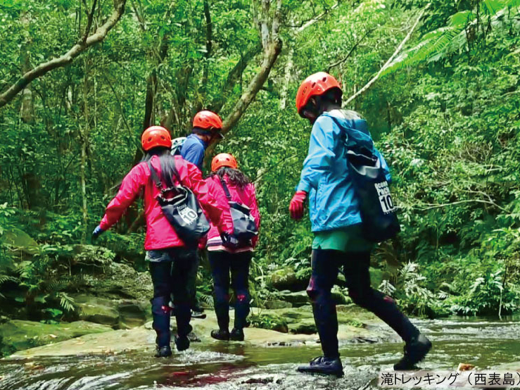 滝トレッキング(西表島)
