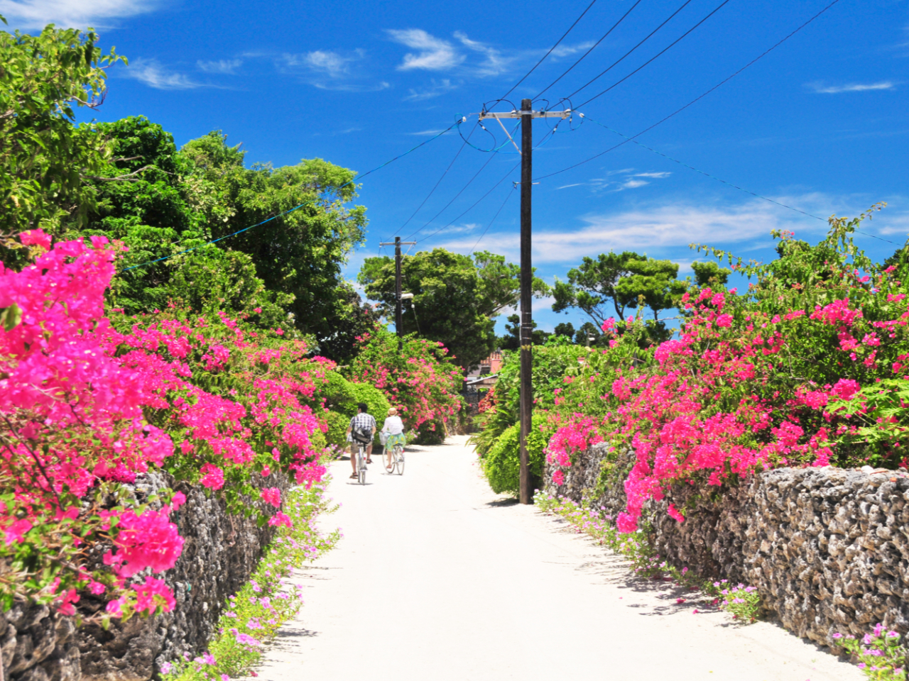 白砂の道が続く竹富島集落