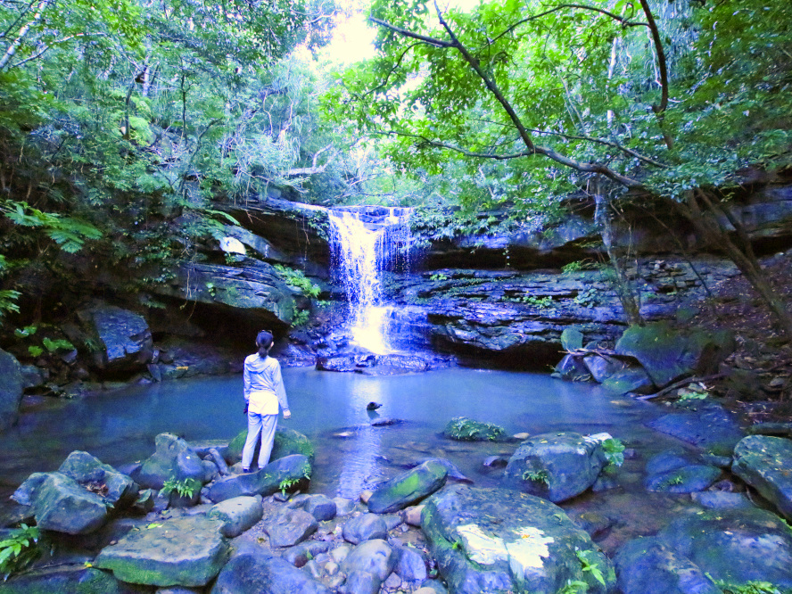 滝トレッキング(西表島)