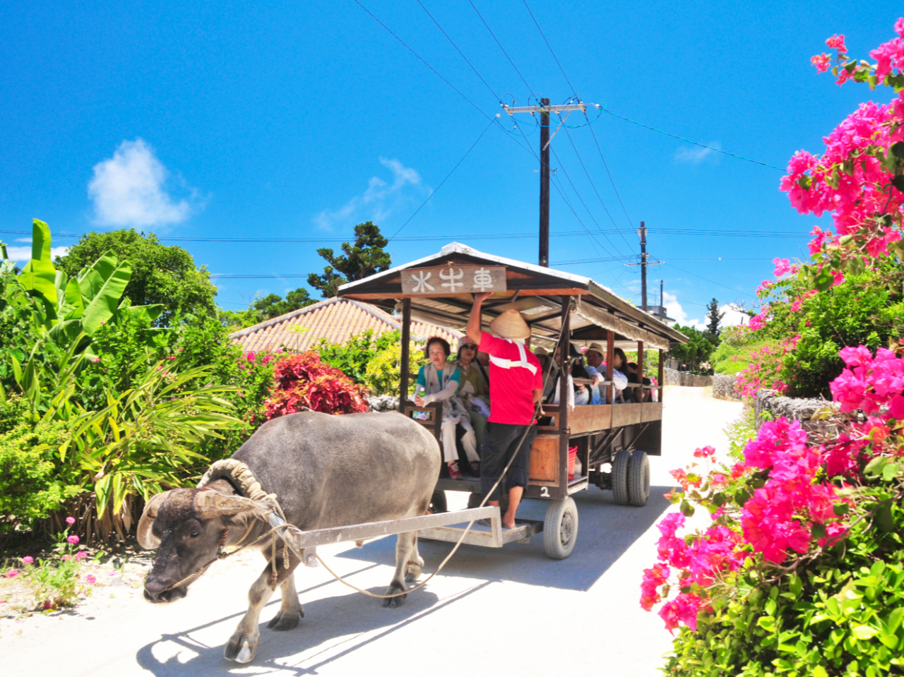 ̌ic|xł͐Ԋόł̂т