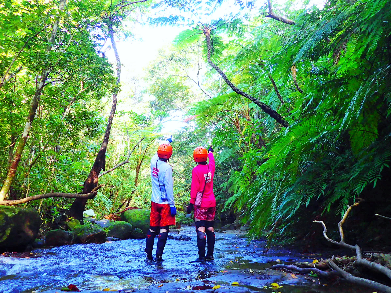 �L���j�I�j���O�i���\���j