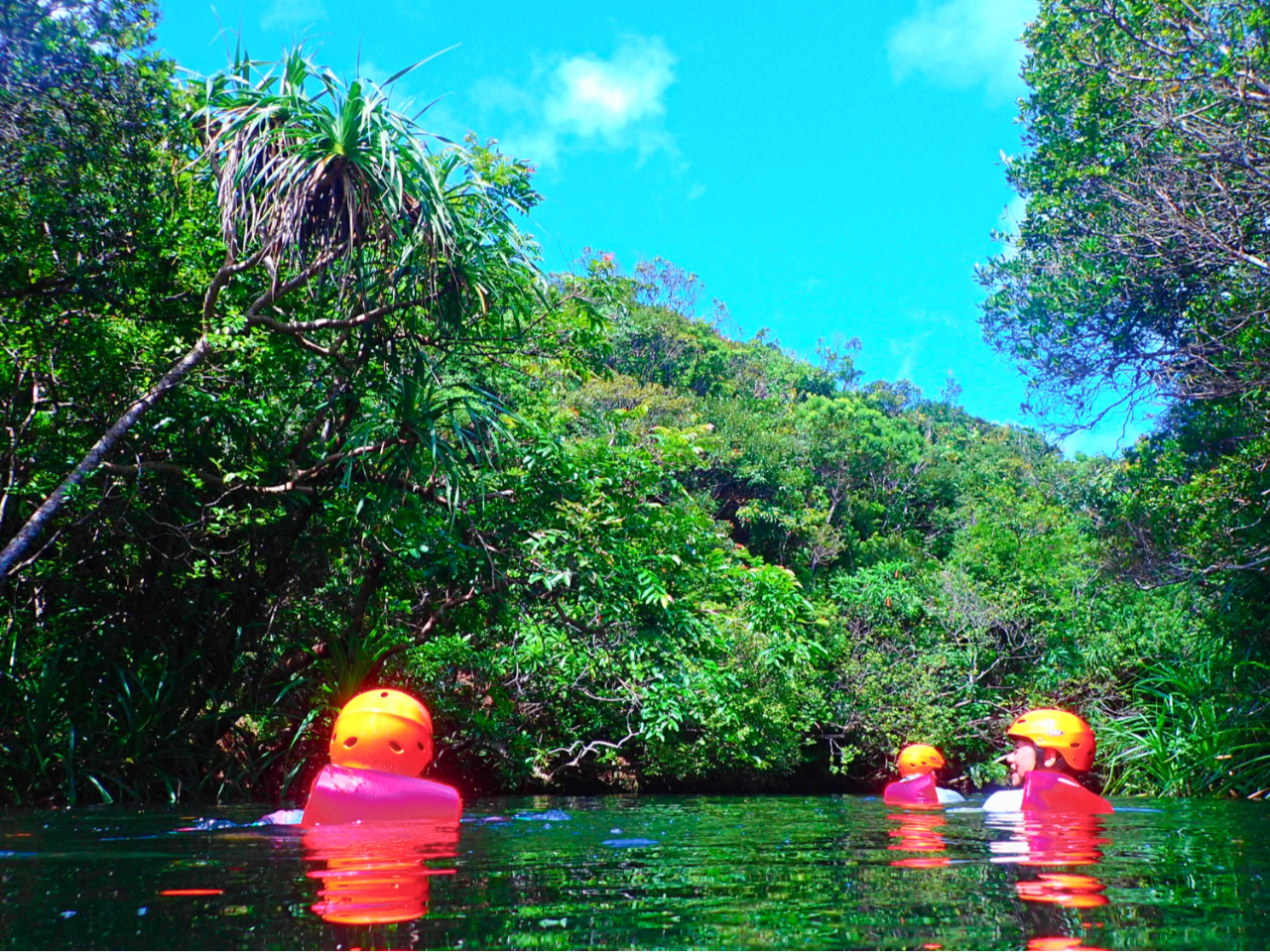 �L���j�I�j���O�i���\���j