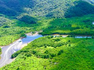 仲間川マングローブクルーズ(西表島)