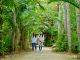 島全体が亜熱帯植物楽園(由布島)