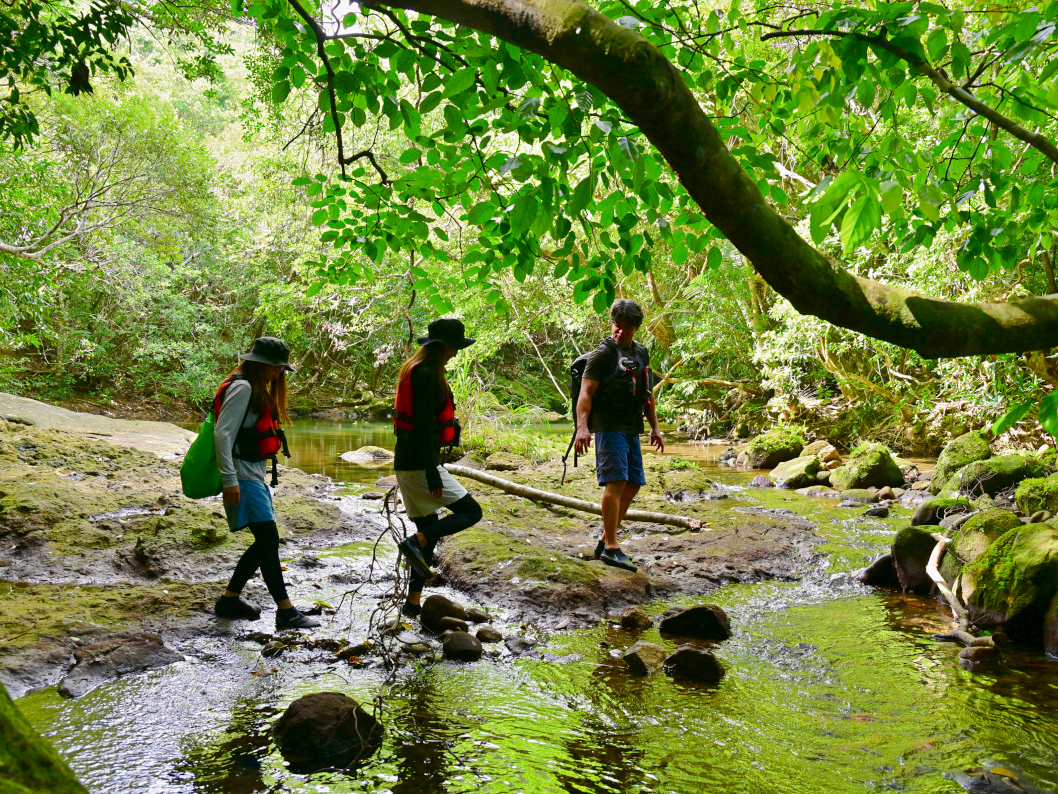 �W�����O���T���i���\���j